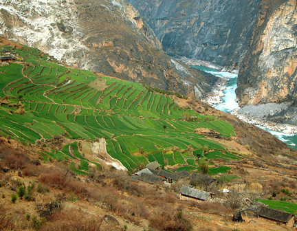D'environ 16 km de long, les gorges du Saut du Tigre livrent passage au Yang Tse Kiang entre les deux sommets du Yulong Xue Shan (5 596 m) et du Haba Xue Shan (5 396 m), en une série de rapides encadrés par des escarpements abrupts de 2 000 m de hauteur, et prétendent au titre du canyon de rivière le plus profond au monde. Les projets de barrages entraîneraient la disparition du site.(Photo : P. Morgan / Creative commons)