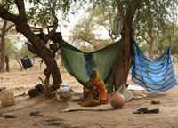 Plus de 200&nbsp;000 réfugiés soudanais sont massés à l'est du Tchad, à la frontière avec le Darfour.(Photo : UNHCR/H.Caux)