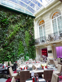 Le mur végétal créé par Patrick Blanc à l'hotel Pershing Hall à Paris.(Photo : D. Birck  / RFI)