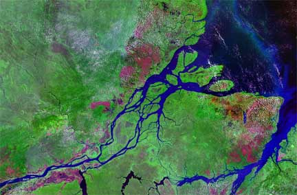 Vue satellite de l'embouchure de l'Amazone.(Crédit : Nasa)