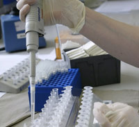 Un test de diagnostic rapide de la grippe A/H1N1 est en préparation à l'Institut Pasteur.(Photo Leonhard Foeger/Reuters)