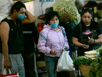 Un couple masqué fait ses courses au marché « Central de abastos », l'un des plus grands marchés de Mexico, le 2 mai 2009.( Photo : Carlos Jasso/ AFP )