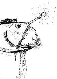 Un poisson-dragon abyssal ou "poisson-lanterne" bioluminiscent : des radiations bleues (ou rouges) sont produites par des bactéries localicées dans des photosphores et émises sous formes de flashes.(Illustration : Jacques Bruslé © Editions Belin, 2009)