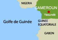 Le Cameroun et ses voisins.(Carte : RFI)
