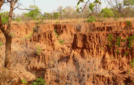 Canyons creusés par l'érosion à l'entrée de la réserve.(Photo : Agnès Rougier/ RFI)