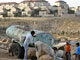 Des bédouins palestiniens dans leur village face à la colonie juive de Maale Adumim en Cisjordanie.(Photo : AFP)