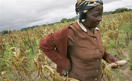 Le G8 s’est engagé à débloquer 20 milliards de dollars pour assurer le développement de l’agriculture tout en restant déterminé à apporter une aide alimentaire d’urgence. (Photo : AFP)