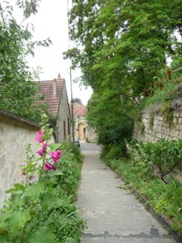 (Photo : Danielle Birck/ RFI)