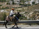 Un Palestinien passe devant une colonie juive en Cisjordanie à Elazar à 20 km au sud de Jérusalem, le 19 juin 2009.(Photo: AFP)