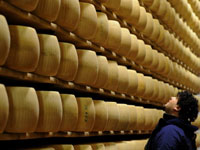 A 300 euros la meule, les fromages servent de dépôt de garantie aux producteurs de parmesan.(Photo : Filippo Monteforte/AFP)