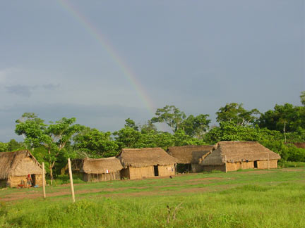 Le village de Moikarakô habité par environ 400 personnes fait partie de la Terre Indigène Kaiapo dans le sud de l'Etat du Para.(Photo : Anne-Elisabeth Laques/ IRD)