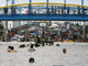 Des habitants de l'est de Manille se déplacent en nageant parmi les véhicules, le 27&nbsp;septembre 2009.(Photo : Reuters)