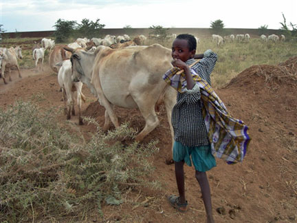 Selon la FAO, l'Ethiopie fait partie des pays particuliérement vulnèrables en terme de faim dans le monde. (Photo: AFP)