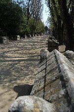cmentarz AlyscampOT Arles