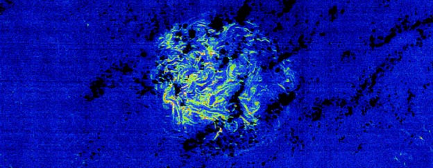 Изображение, полученное благодаря системе Envisat . Спутник позволяет определить местоположение в море скоплений водорослей, представляющих опасность для кораблей.  ESA