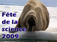 Недельный праздник науки по всей Франции проходит с 16 по 22 ноября.videotheque.cnrs.fr