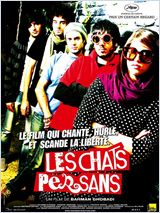 Bahman Ghobadi'nin yeni filmi " Les Chats Persans / İranlı Kediler"in afişi.(AlloCiné)