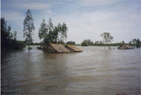 Đồng bằng sông Cửu Long thường xuyên bị lũ lụt. Nguyễn Thạch