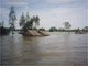 Đồng bằng sông Cửu Long thường xuyên bị lũ lụt. Nguyễn Thạch