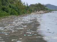 Ô nhiễm đe dọa vùng bờ biển Hà Tiên ở miền Nam Việt Nam(Ảnh : Vũ Thế Long)