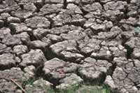Hạn hán làm cho đất ruộng nứt nẻ. (Ảnh : Nguyen Thi Hoang Yen/Oxfam GB)