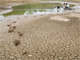 Khí hậu biến đổi kéo dài hạn hán, làm khô cạn sông hồ tại Trung Quốc Ảnh : Reuters