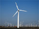 Khu sản xuất năng lượng gió lớn nhất Trung Quốc ở vùng Tân Cương(Ảnh : Reuters)