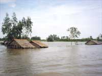 Đồng bằng sông Cửu Long bị ngập nước (Ảnh : Nguyễn Thạch) 