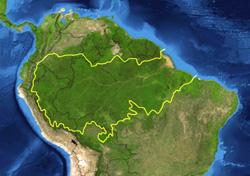 Rừng Amazon bao phủ các nước Nam Mỹ (DR)