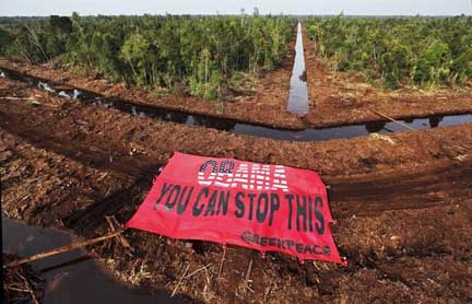Tổ chức bảo vệ môi trường Greenpeace căng biểu ngữ trên đảo Sumatra (Indonesia) kêu gọi tổng thống Mỹ ngăn chặn nạn phá rừng nguyên sinh tại nước này (ngày 12/11/2009)(Ảnh : Reuters)