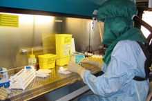 Le premier essai clinique du Cimavax EGF&nbsp;a été réalisé en 1995. Aujourd'hui, un essai de phase III se déroule sur 579 malades dans 18 hôpitaux cubains.(Photo : AFP)