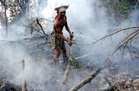 Les paysans indonésiens qui défrichent les terres cultivables en y mettant le feu, perdent parfois le contrôle des flammes qui embrasent alors les forêts tropicales.(Photo : AFP)