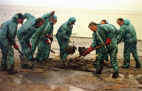 Le naufrage du pétrolier l'ERIKA au large de la Bretagne en 1999 a provoqué une marée noire de grande ampleur sur 400 km de côtes.(Photo : AFP)
