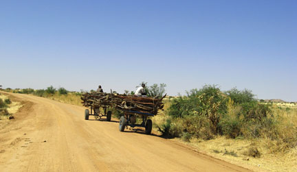 Paysage semi-désertique, sur la route entre Abéché et Adré. (Photo : Marie -Pierre Olphand/RFI)