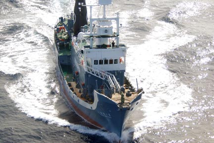 Le Yushin Maru, le bateau japonais chasseur de baleines.(Photo : Reuters)