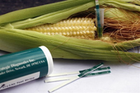 Test, officiellement appelé « Trait Bt1 test kit », qui détecte les protéines Yieldgard-Cry1AB contenues dans diverses variétés du MON810, un maïs génétiquement modifié par la firme Monsanto.(Photo : AFP)