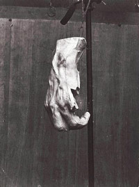 D. Freuler, Main gauche de Bourgeois de Calais suspendue à un support 
© musée Rodin, Paris, 2007