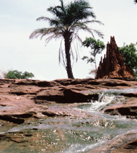  Ecoulement d'eau sur les rochers. Au fond à droite, on aperçoit une termitière. (Photo : <a href="http://www.ird.fr/indigo" target="_blank">IRD</a>)
