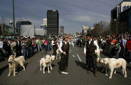 Les chasseurs espagnols en colère ont manifesté, en&nbsp;tenue de chasse, accompagnés de chiens, dans les rues de Madrid.(Photo : AFP)