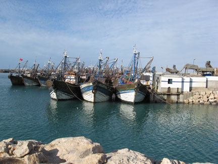 Laayoune, premier port sardinier africain.(Photo : M.P. Olphand)