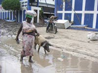 Les formations politiques en Haïti sont déconnectées de la réalité quotidienne. (Photo : RFI)