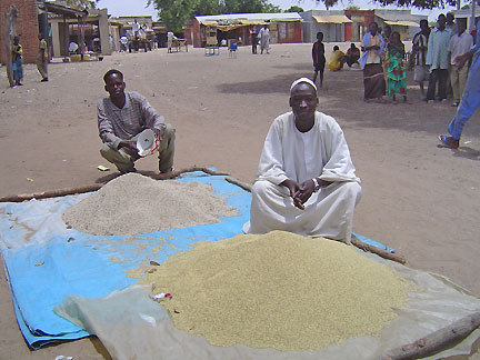 Avec la guerre au Darfour et la crise dans le Nord-Est centrafricain, le marché d'Amdafok ne fait plus recette.(Photo : Carine Frenk/RFI)