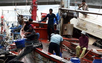 Dans la province de Pattani, en Thaïlande, la plupart des pêcheurs sont des immigrés birmans.(Photo : AFP)