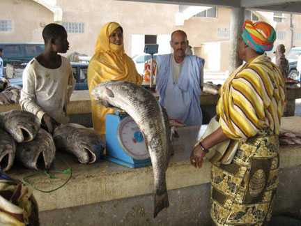 Vente de poisson au port artisanal de Nouakchott. Les pêcheurs ne semblent pas trop souffrir des variations de prix.
(Photo : M. Rivière/RFI)