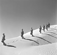 Soldats de l'Onu dans le Sinaï le 1er février 1957.(Photo : UN)