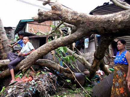 Des enfants sont assis sur une branche, près d'habitations dévastées à Rangoon.(Photo: Reuters)