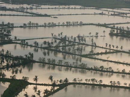 Trois semaines après Nargis, des milliers d'hectares restent sous les eaux dans le delta de l'Irrawaddy.( Photo : Reuters )