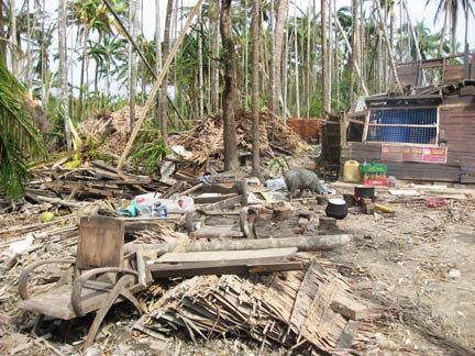 Un village détruit, proche de Bogolay. (Photo : Luc Auberger)