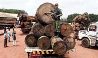Un militaire contrôle les camions chargés de bois confisqué à une scierie clandestine dans l’Etat de Para, au nord du Brésil.  (Photo: AFP)