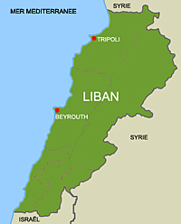 Carte du Liban.(Carte : O.Pelletant/RFI)